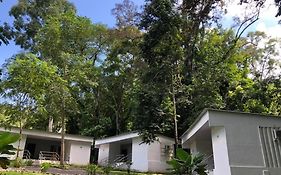 Carara Adventure Park